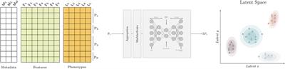 Learning meaningful latent space representations for patient risk stratification: Model development and validation for dengue and other acute febrile illness
